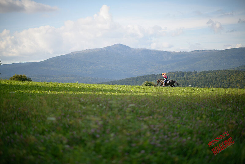 Reiten Bayerischer Wald